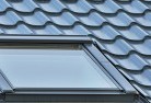 Elizabeth Parkskylight-replacements.jpg; ?>